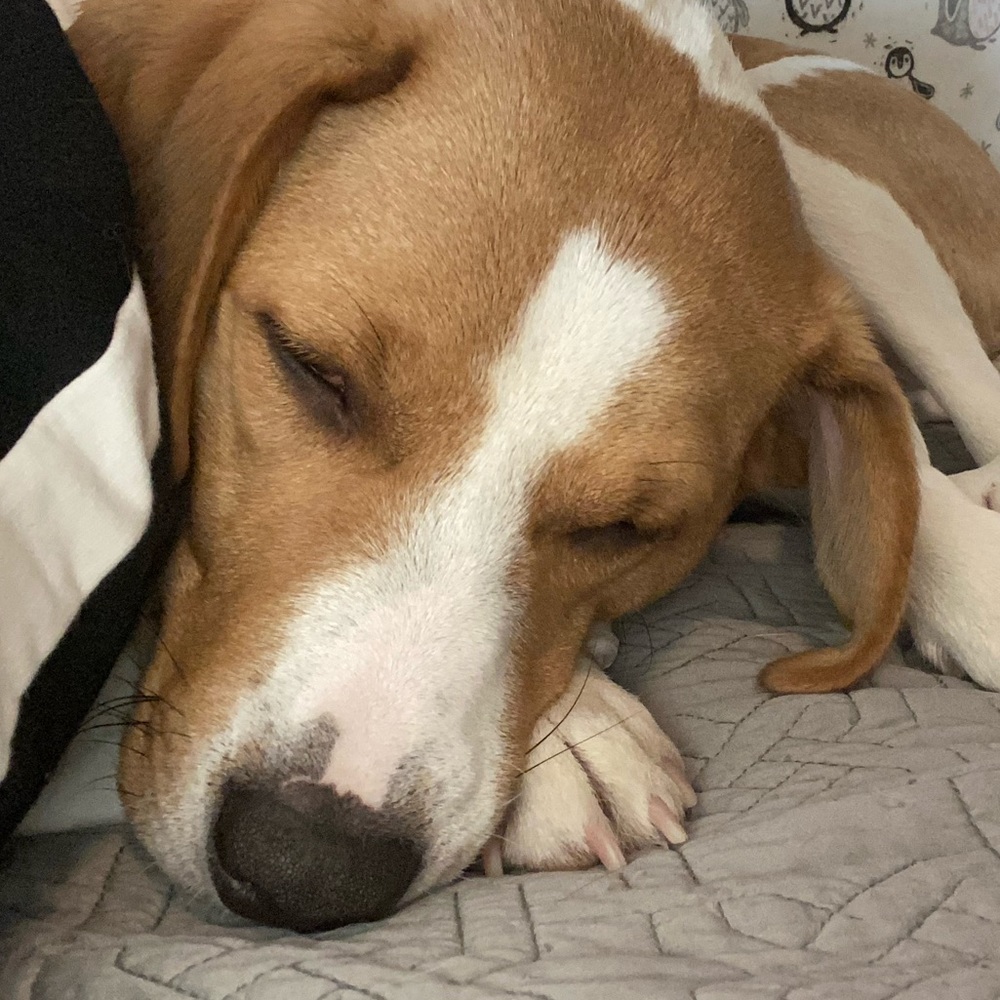 Meet your Posher, Kathleen